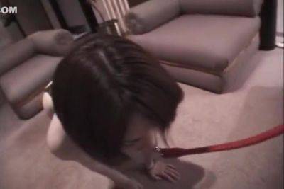 Watch This Slave Make Her Master Happy - upornia.com