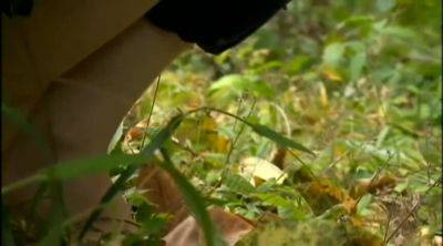 TTT722-DBUJSXZHIX679011341 - hclips.com - Japan