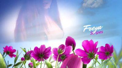 Freya Stripes - hotmovs.com