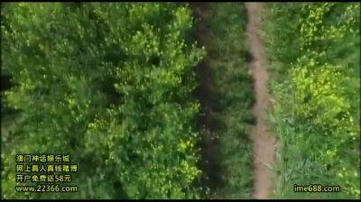 BEP129-DJNIRIKPXA298454494 - hclips.com - Japan