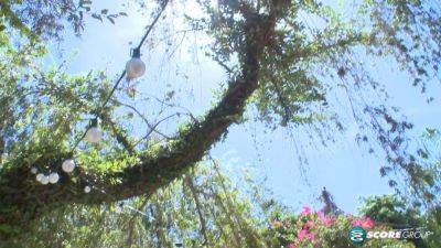 Sammy Daniels and Aubrey star's kinky poolside tryouts: Bikini-clad teens licking and fingering each other's tiny tits - sexu.com