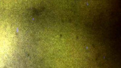 FEMOUT XXX Stimulating Dana Sparrows - drtvid.com