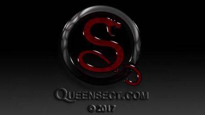 Queensect Wasp Experiment 3 - hotmovs.com