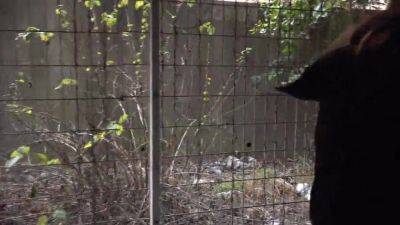 Asian angel 7512 - AsianHappyEnding - hotmovs.com - Japan