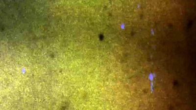 GROOBY ARCHIVES Jenny s Back - drtvid.com