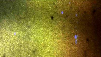 ASIANTGIRL Nancy Sensual Debut - drtvid.com