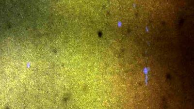 ASIANTGIRL Big Boobs Juicy Ass - drtvid.com