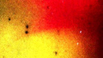 BOBSTGIRLS My Night With Kisses Karrera - drtvid.com