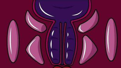 3D Anime Girl Gets Internal Cumshot #9 - porntry.com