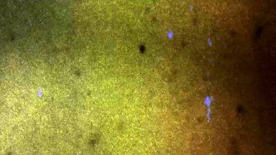 TGIRLBBW Thai Pad Napa Is Here - drtvid.com - Thailand