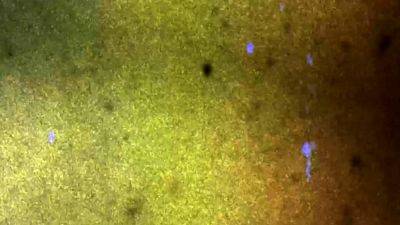 BOBSTGIRLS Horny Nina Pops - drtvid.com