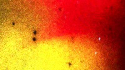 BOBSTGIRLS Horny Tiara Tops - drtvid.com