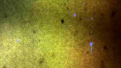 ASIANTGIRLS Mimi s Steamy Climax - drtvid.com