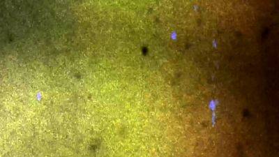 BOBSTGIRLS Updates 8th Nov 24 - drtvid.com