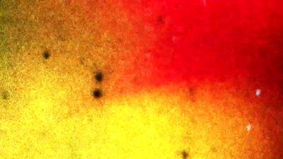 GROOBYVR Lola Morena Is The Man Eater - drtvid.com