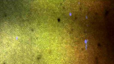 ASIANTGIRL Simply Irresistible Basty - drtvid.com