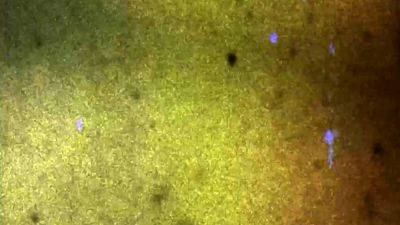 FEMOUT XXX Maxima Overload - drtvid.com