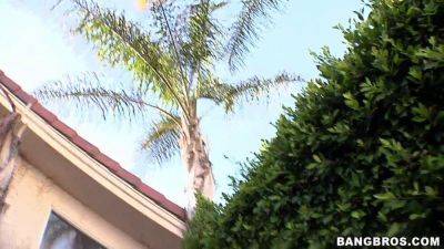 Katie St Ives - Katie St. Ives gets her young holes stuffed by massive black cocks - sexu.com