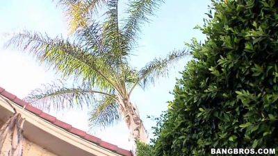 Katie St Ives - Katie St. Ives gets her young holes stuffed by massive black cocks - sexu.com