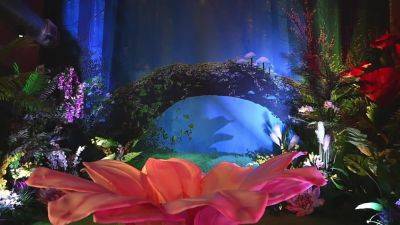 Rocknrose Mfc Cam Porn Vids - hclips.com