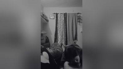 Fabulous Adult Video Vertical Video Exclusive Uncut - desi-porntube.com