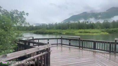 Sex In Thongs Private Lake In Alaska - Sparks Go Wild - hclips.com