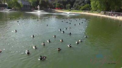 A Delightful Park Date - Chloe Love - xxxfiles.com