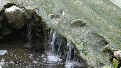 Edita Recna's Fadeny Solo - xxxfiles.com