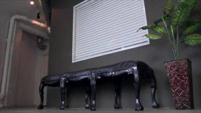 Riley Reid In Teachers Pet - hotmovs.com