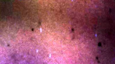 ASIANTGIRL Sultry Strokes Creamy Finish - drtvid.com