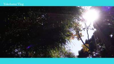 0004226_Japanese_Censored_MGS_19min - hclips.com - Japan