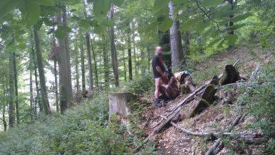 Slut Wife In Bunny Mask Dehumanized Herself Outdoors - hclips.com