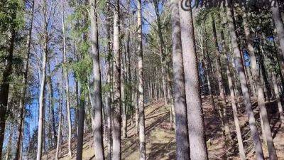 College Girl Munichgold Walk Ends With Public Fuck Please Cum On My Big Ass - hclips.com