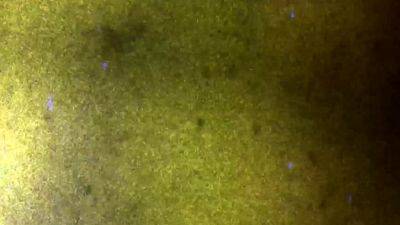 GROOBY CLUB Vanessa Jhons Tops Chris Cobalt - drtvid.com