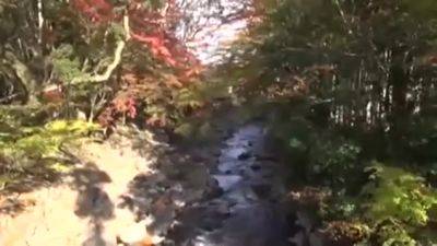 02616,Sexy woman's lewdness is erotic - hotmovs.com