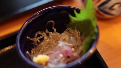 0003732_Japanese_Censored_MGS_19min - hclips.com - Japan