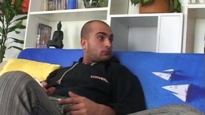 Old Cow - upornia.com