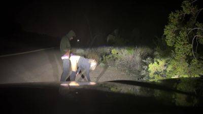 Rough Public Sex! Pounding Her Pussy On The Side Of The Road 5 Min - Ryland Ryker And Mya Lane - hclips.com