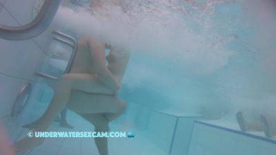 I Think Something Is Happening Down There Between The Two Of Them - hclips.com