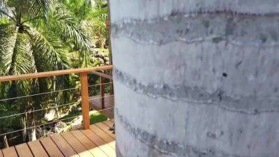 Maria Big Palm Tree - upornia.com