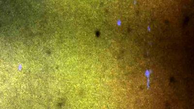 GROOBYGIRLS Your Latest Superstar - drtvid.com