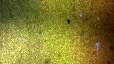 GROOBYGIRLS The It Factor - drtvid.com