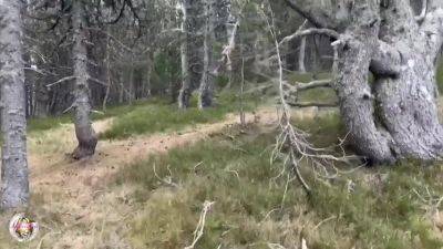 Aurbeaureal - Mym.fans No.203 - upornia.com