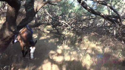 Virtual Vacation In Hawaii With Nina North Part 6 - hotmovs.com - Usa