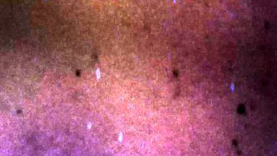 GROOBY CLUB Black Cat Returns - drtvid.com