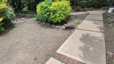 And A Big Ass Gives Me Some Good Feelings - hotmovs.com