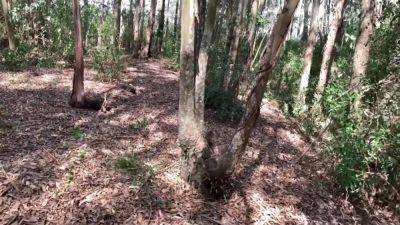 Compiled From Xhamsters Biggest - upornia.com