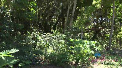 Teen Lola Really Wants To Suck Some Cock - hotmovs.com