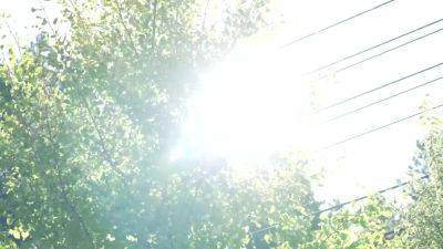 0008904_Japanese_Censored_MGS_19min - hotmovs.com - Japan