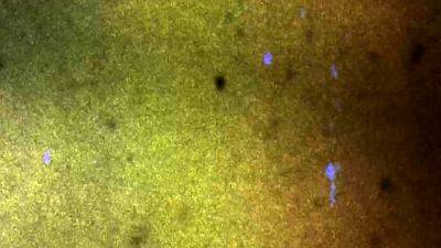 GROOBY CLUB The Ria Bentley Experience - drtvid.com